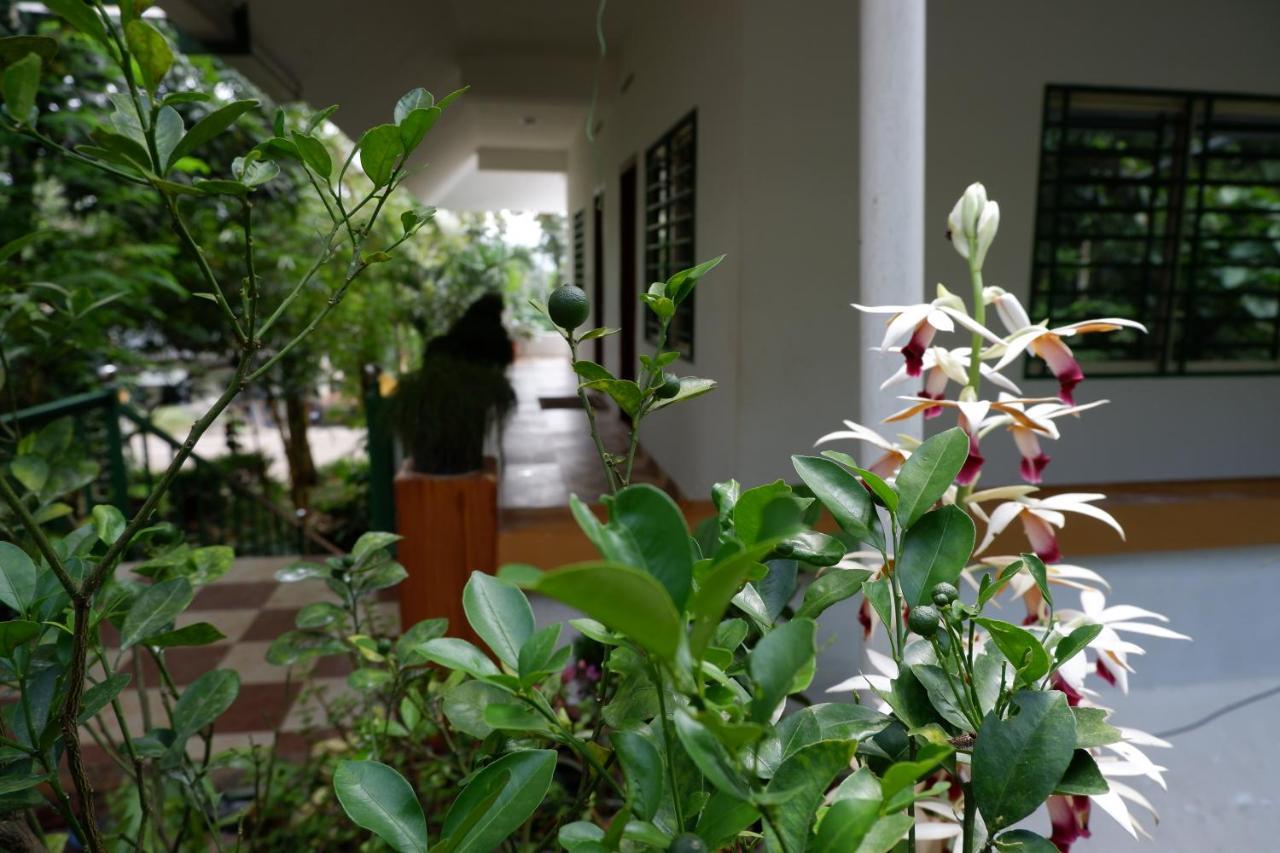 Wind Valley Ramakkalmedu Bagian luar foto