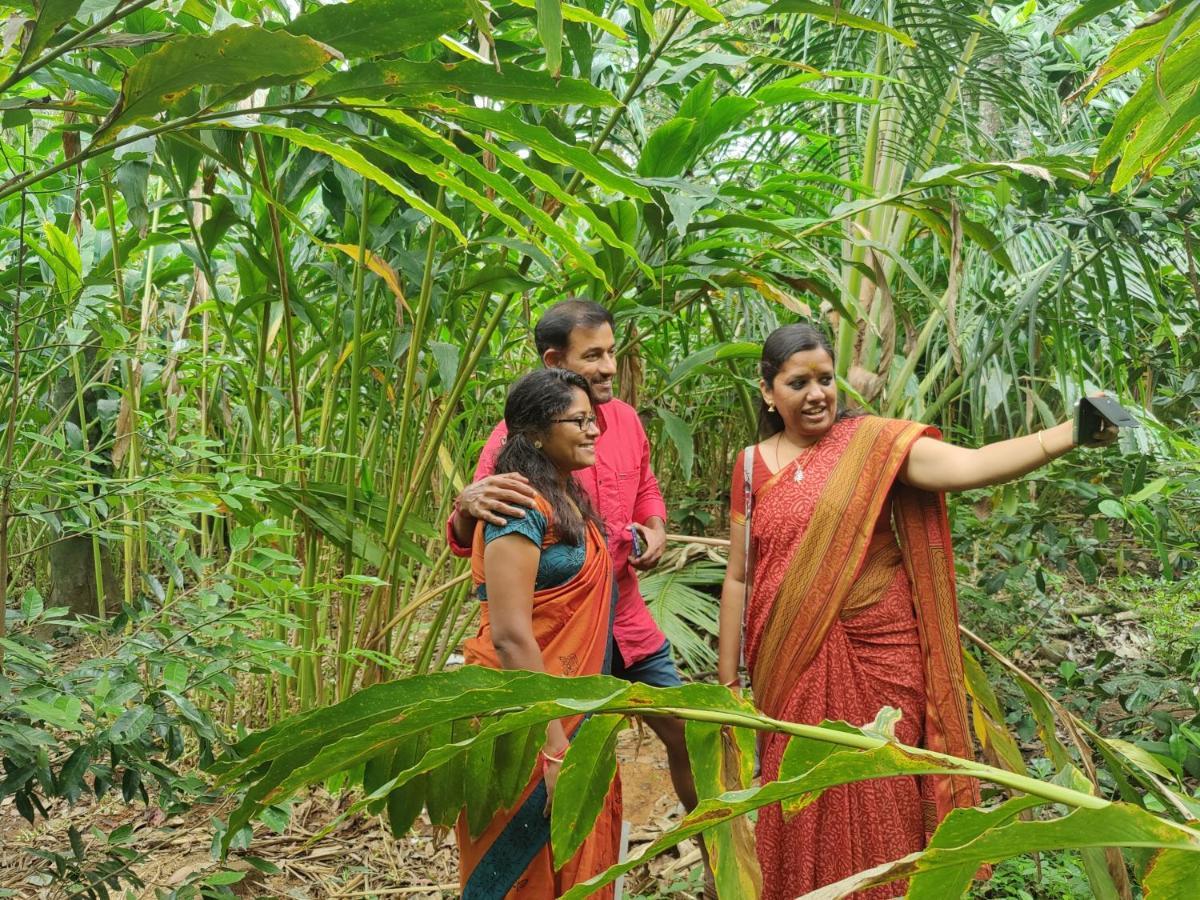 Wind Valley Ramakkalmedu Bagian luar foto